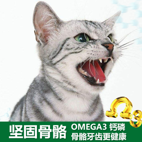 果莉派猫粮试吃猫咪奶糕粮成猫幼猫英短美短1-4个月12月500g1斤