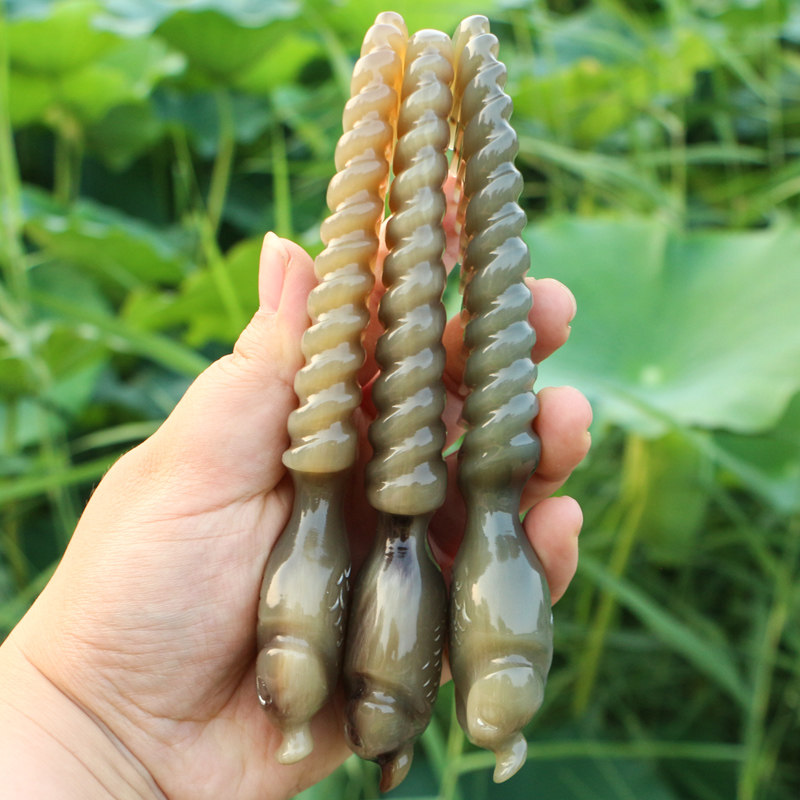 天然白牛角按摩梳手工雕花小鱼梳子宽齿卷烫发梳子加厚梳长16厘米