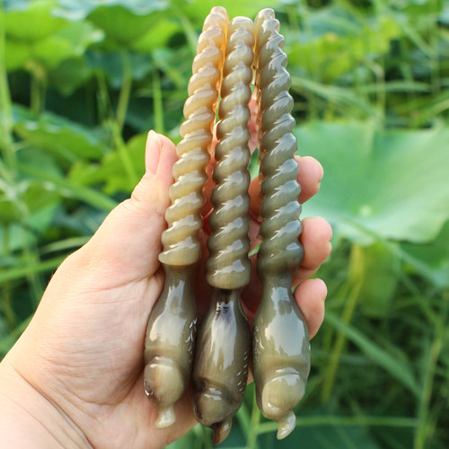 天然白牛角按摩梳手工雕花小鱼梳子宽齿卷烫发梳子加厚梳长16厘米