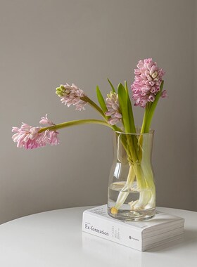 郁金香花瓶摆件客厅插花玻璃透明高级感水养水培百合鲜花餐桌网红