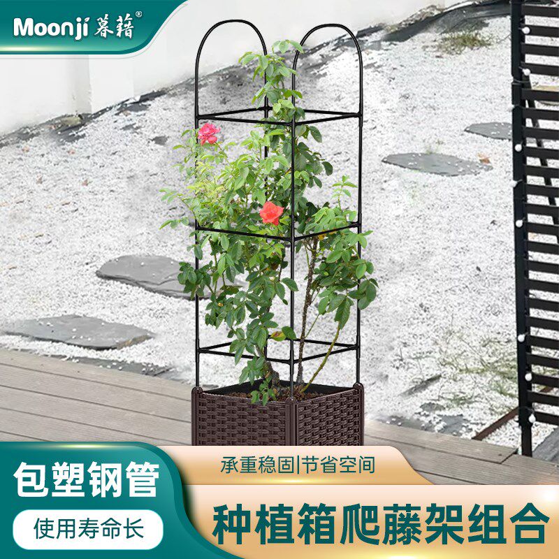 种植箱种菜盆家庭小花盆屋顶菜园蔬菜菜盆阳台露台爬藤架室内户外