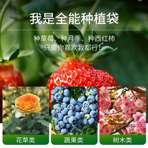 种植袋美植树袋无纺布育苗盆营养钵加厚阳台楼顶花盆透气可折叠