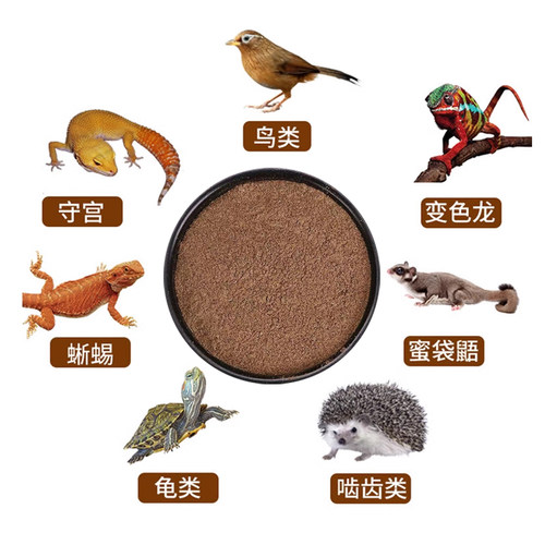 无菌地蜘蛛粉蟋蟀地栖画眉百灵红定鸟R属睫角守宫鬃狮乌龟食物粮