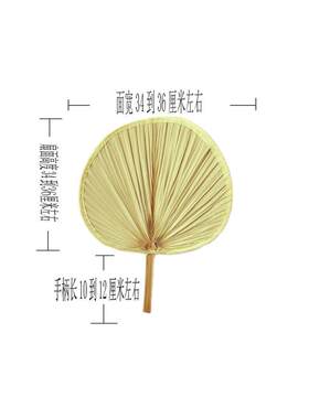 扇子大蒲扇芭蕉扇济公扇葵扇老人老式蒲草手工扇绘画扇棕叶烧烤扇
