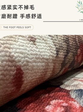 轻奢进门地垫入户门垫欧式高级感家用地毯定制可裁剪玄关脚垫防滑