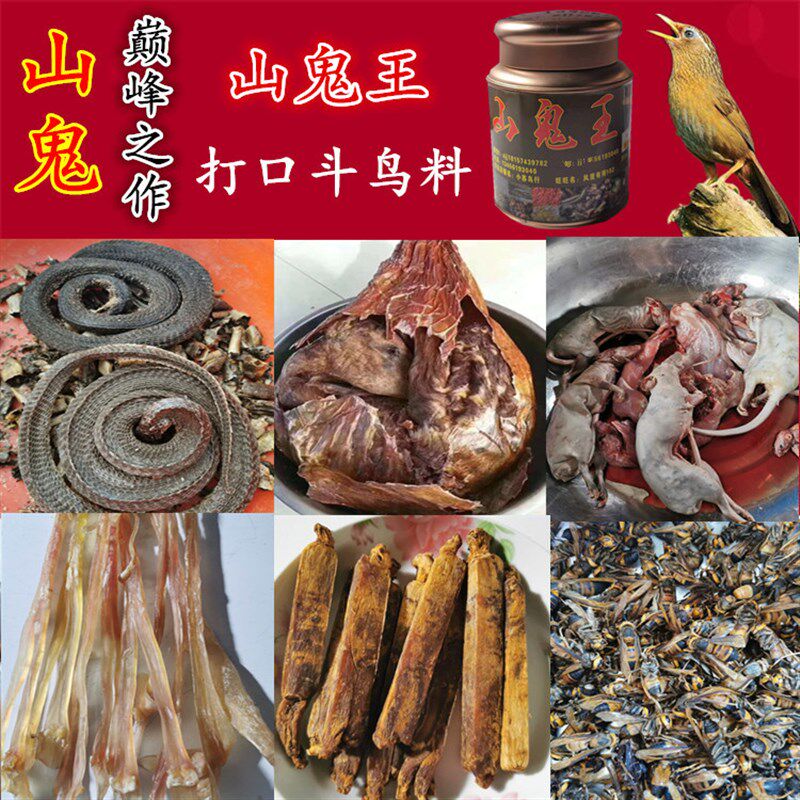 山鬼画眉鸟食提性饲料提升吃食斗性鸟料饲料斗力鸟食鸟饲料斗鸟料