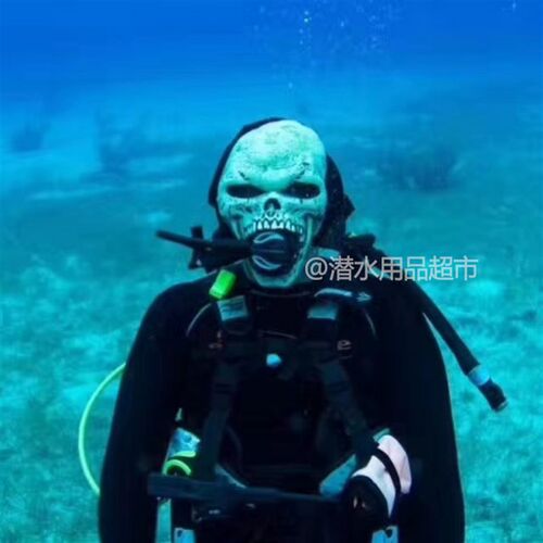 潜水周边产品 潜水装扮头套  个性骷髅头装B拍照用 非卡通 装饰品