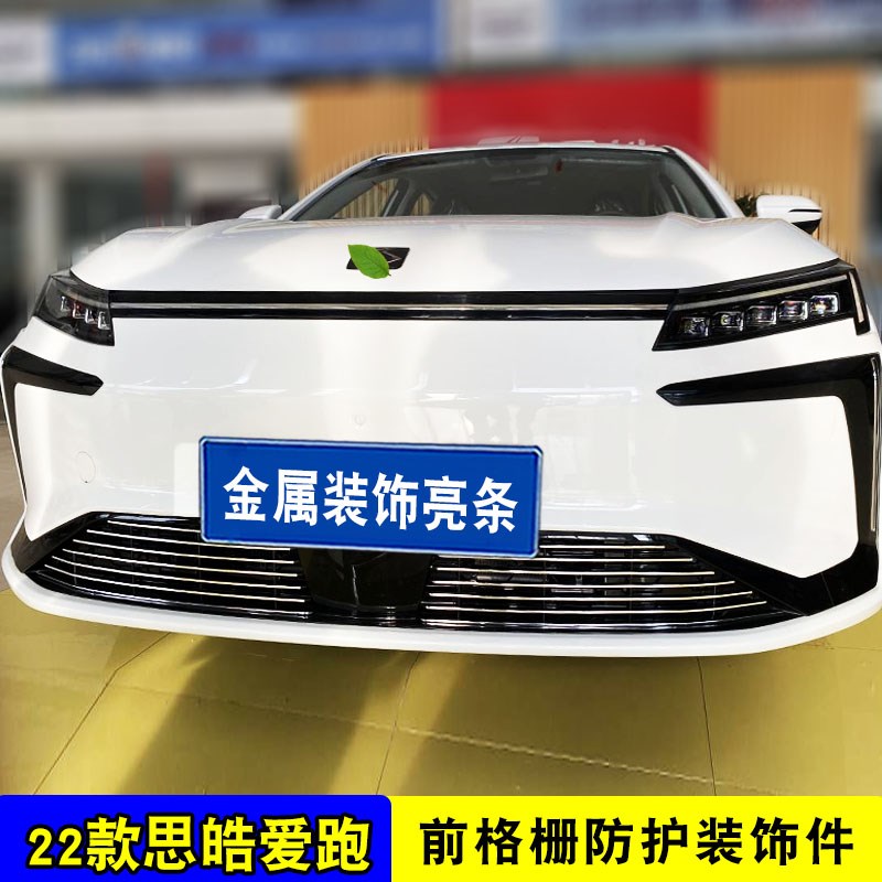 2022款思皓爱跑中网改装饰条 前脸保险杠专用汽车用品防虫网配件