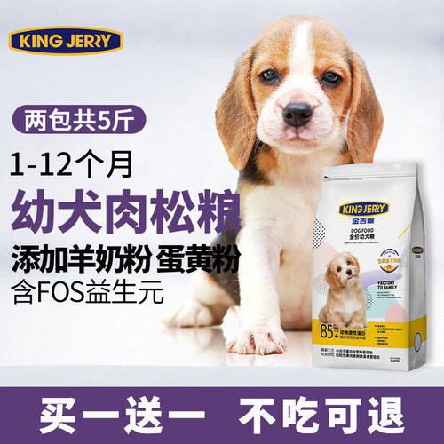 金吉瑞kingjerry幼犬狗