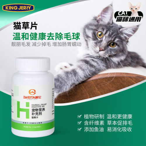 金吉瑞kingjerry猫咪化