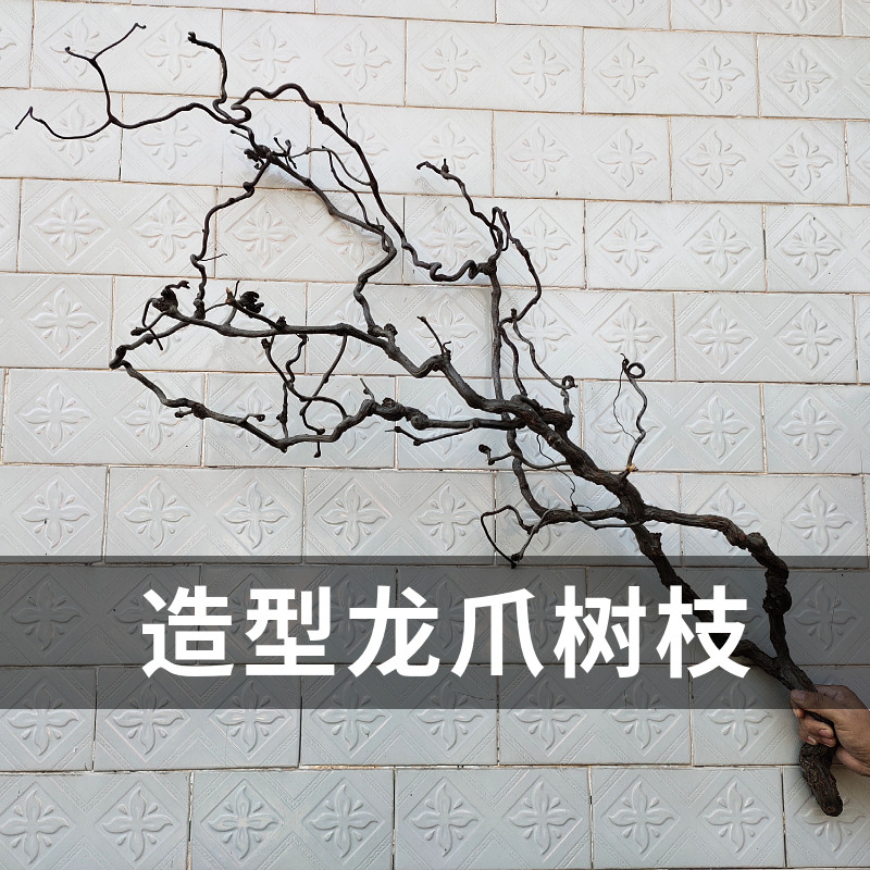 天然龙枣支树枝装饰枯枝龙爪造型干树支干花弯曲花艺造景禅意干支图片