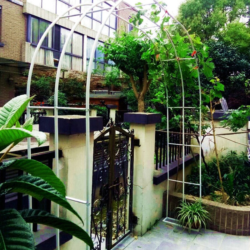 蔷薇爬藤架户外葡萄架花架月季简约攀爬拱门三管加固花园绿植支架
