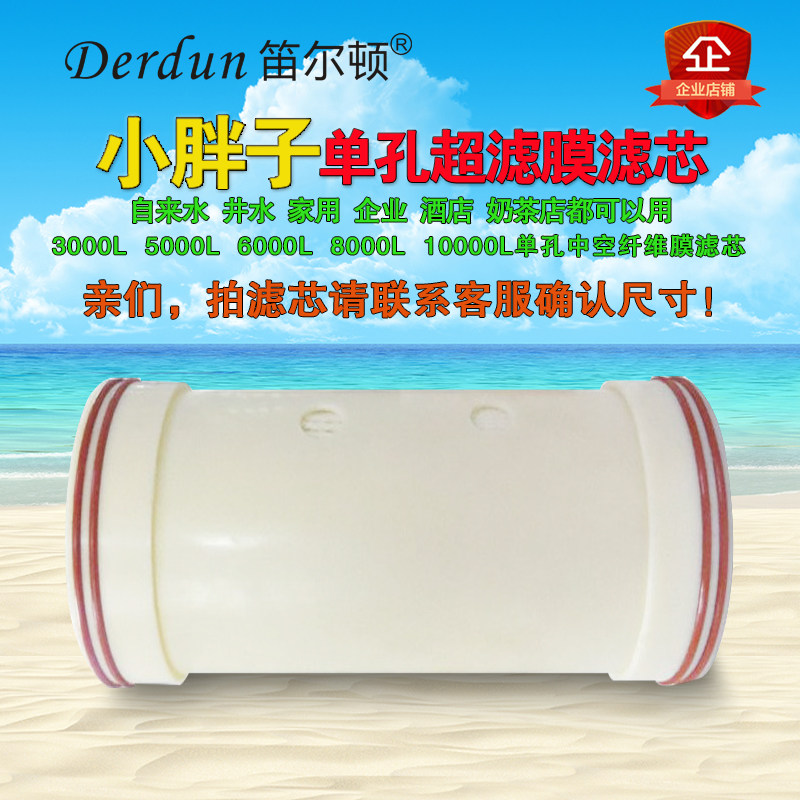笛尔顿家用水管过滤器自来水井水净水器滤芯