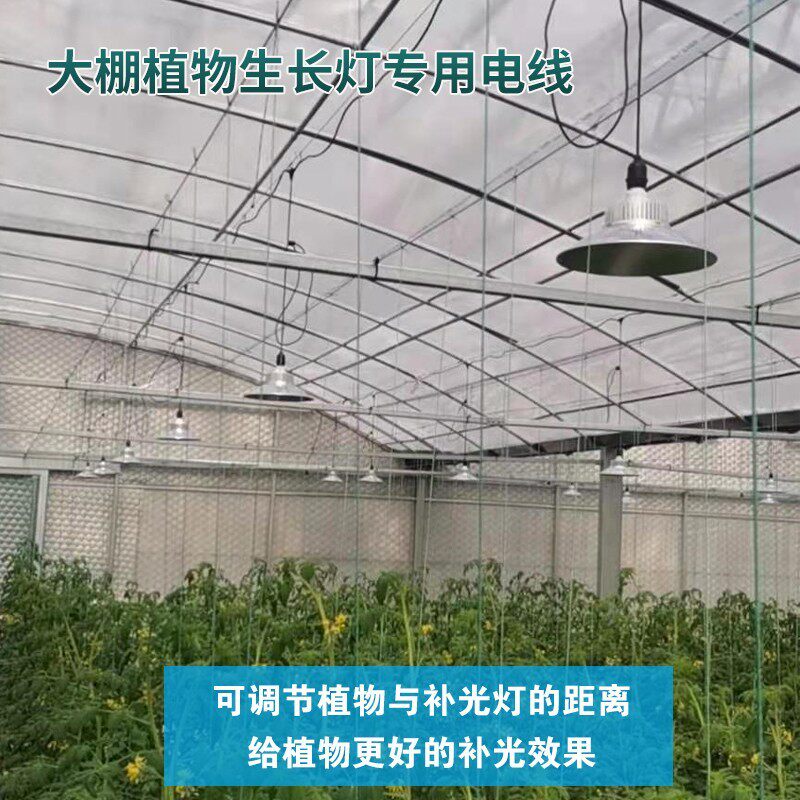 蔬菜花卉大棚专用带线灯口40米10灯头专用防水灯头跑马线灯头可连