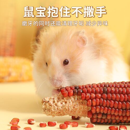 仓鼠磨牙玉米棒侏儒金丝熊花枝鼠磨牙零食营养粮食造景玩具用品