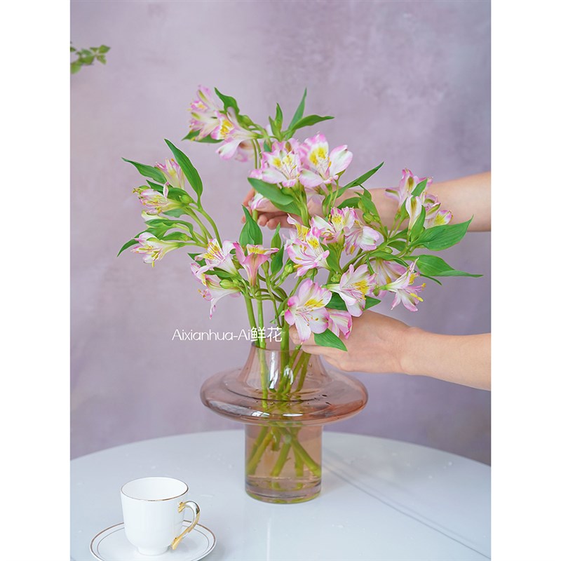 双重惊喜水仙百合鲜花插花水养花期长六出花云南直发家居装饰送花