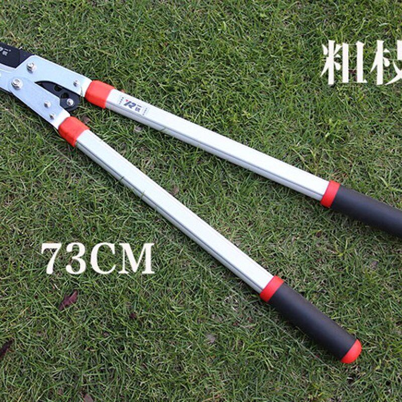 包邮修枝剪树枝剪果树剪修花木园艺剪刀园林工具伸缩粗枝剪大力剪