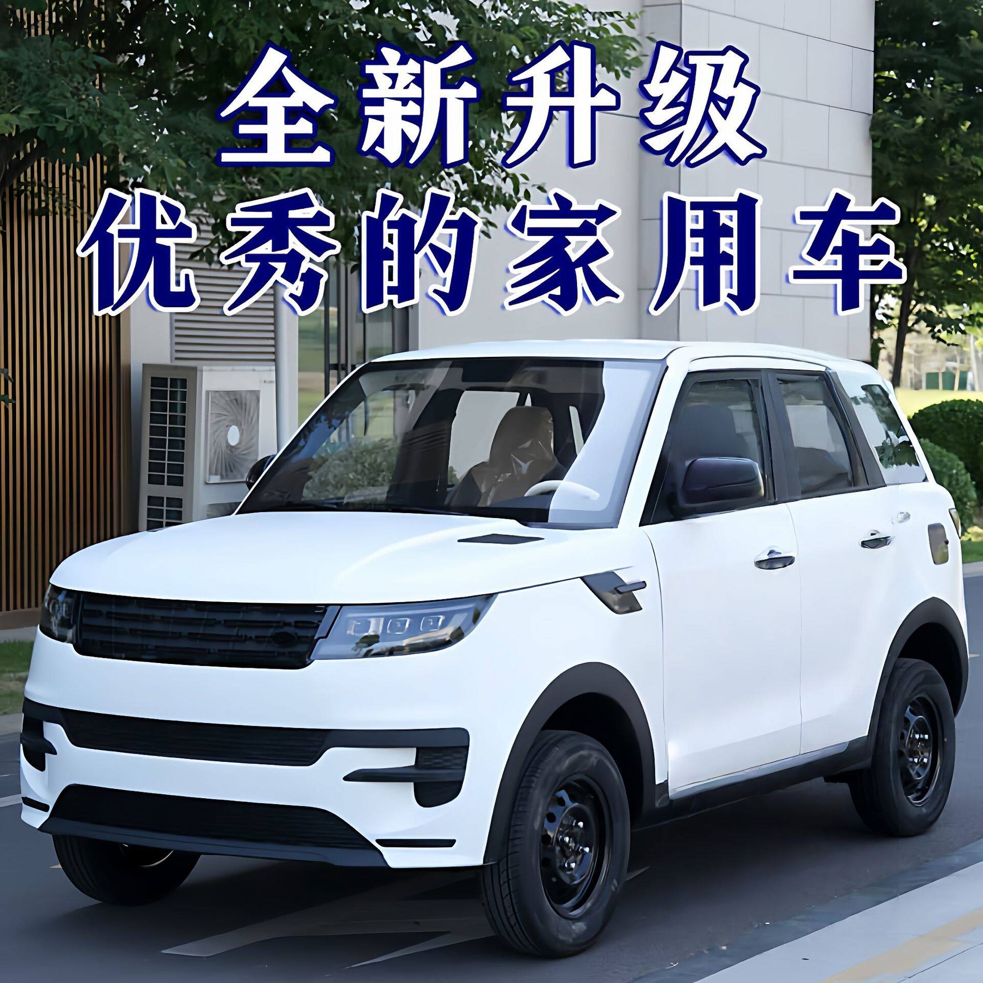 老头乐代步车电动四轮车油电两用封闭式成人轿车锂电家用代步车