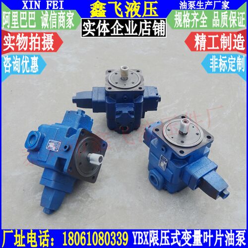 YBX-16 YBX-20 YBX-25 变量叶片泵 限压式变量叶片油泵