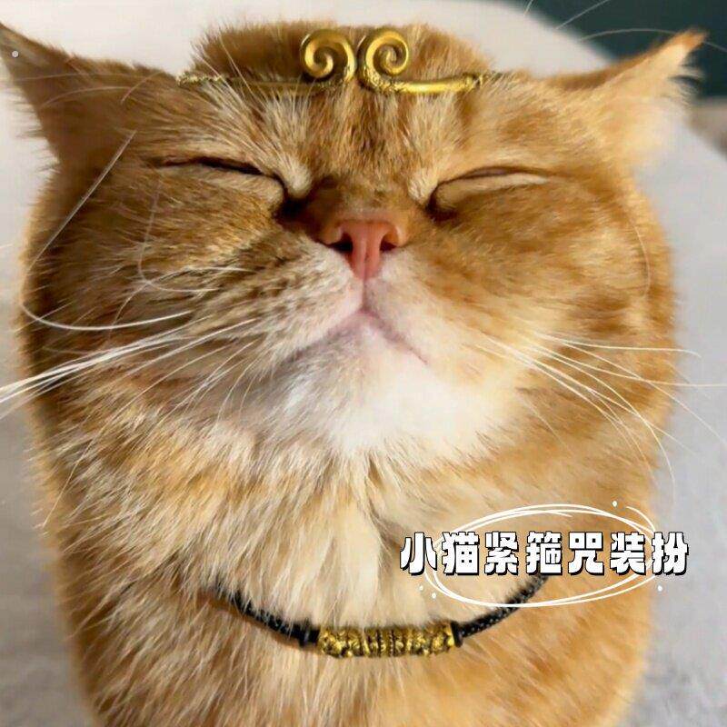 小猫装扮节日搞笑装扮孙悟空生日装饰拍照道具头箍猫咪狗宠物用品