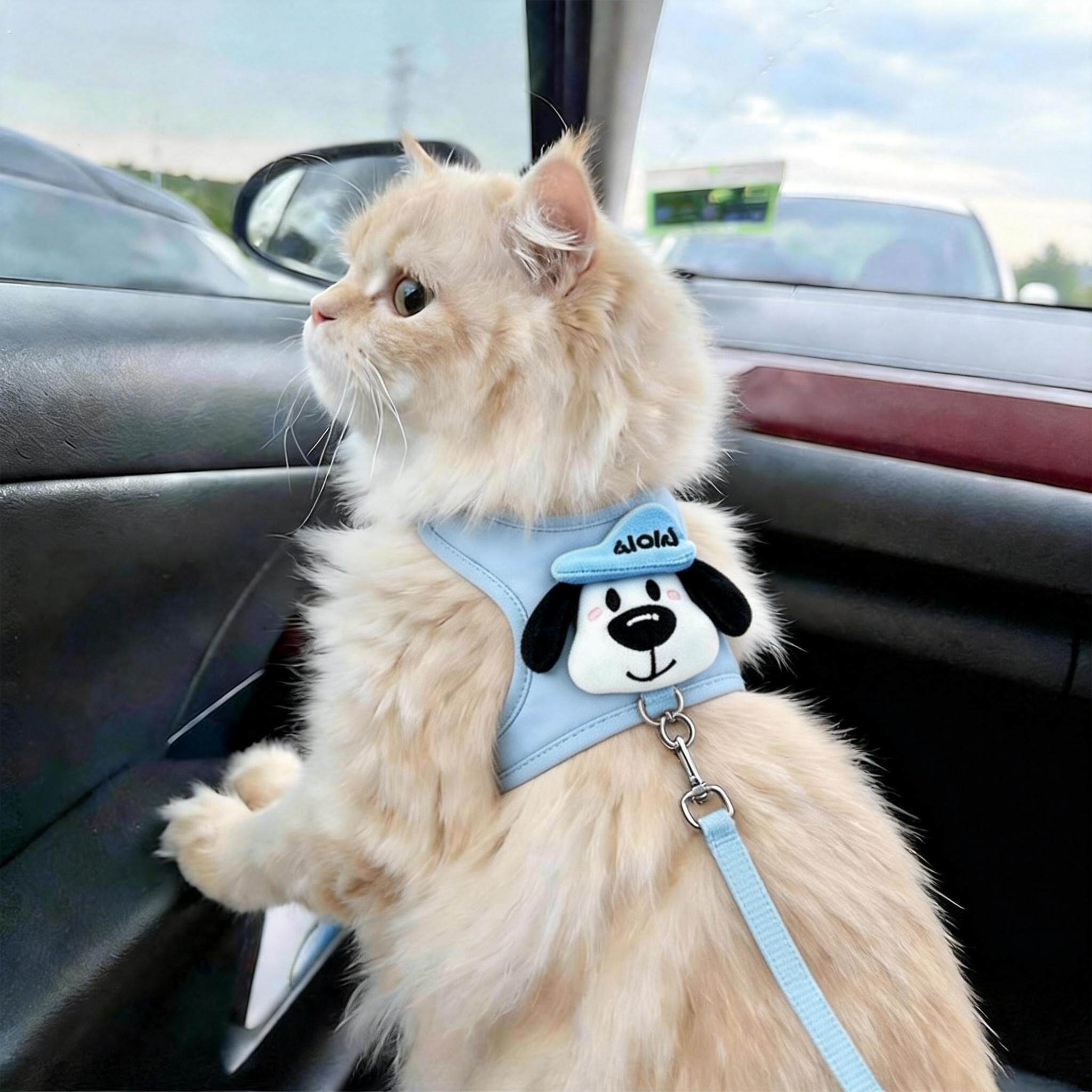 猫咪牵引绳背心式胸背带防挣脱不勒脖外出小猫宠物透气狗狗溜猫绳