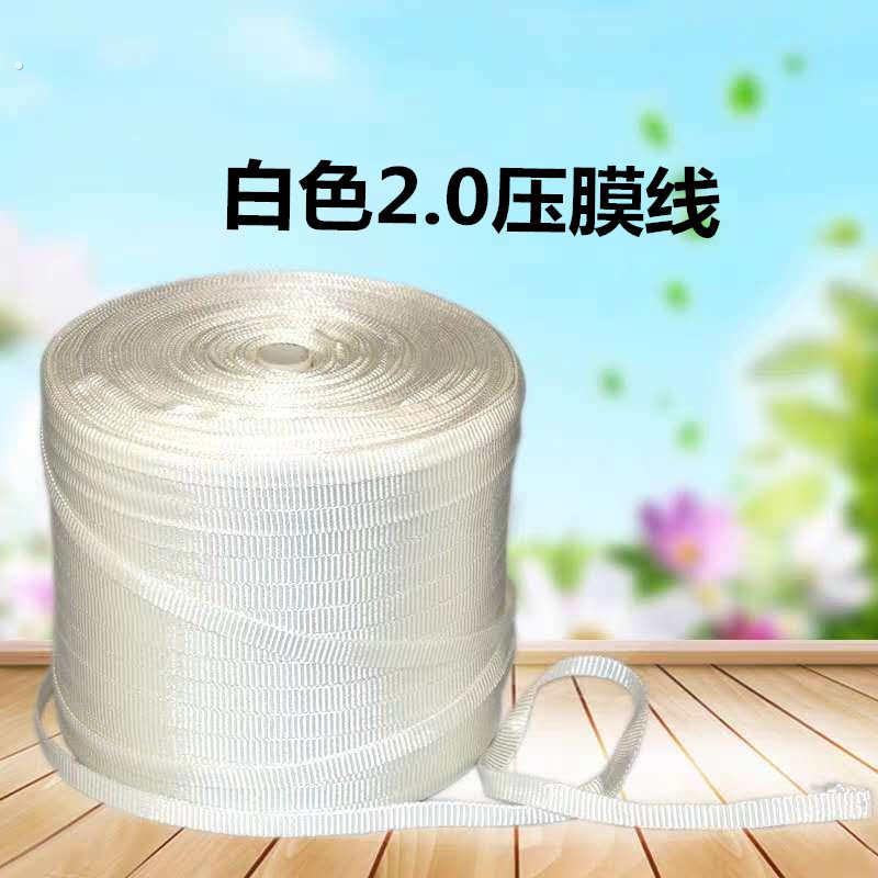压膜线 压膜带 大棚绳子 塑料绳 白色压膜线膜大棚膜塑料大棚