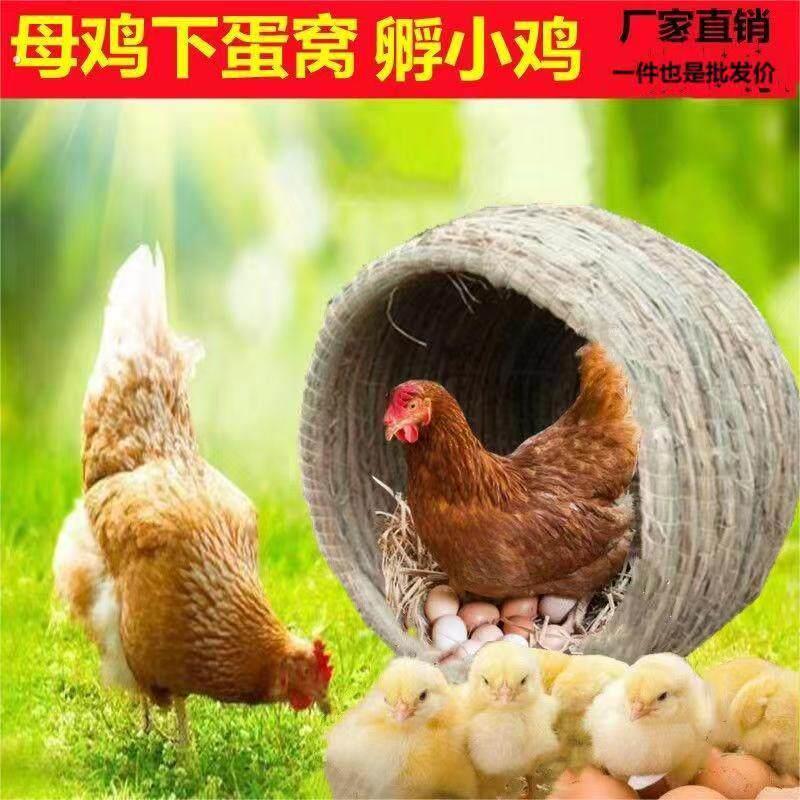 母鸡下蛋专用窝窝鸡窝。鸽子家用母鸡下蛋专用窝
