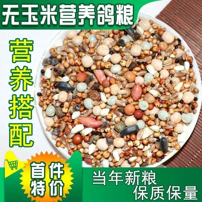 鸽子粮食施舍20斤无玉米粒白鸽饲料鸽食信鸽专用鸽粮五谷杂粮颗粒