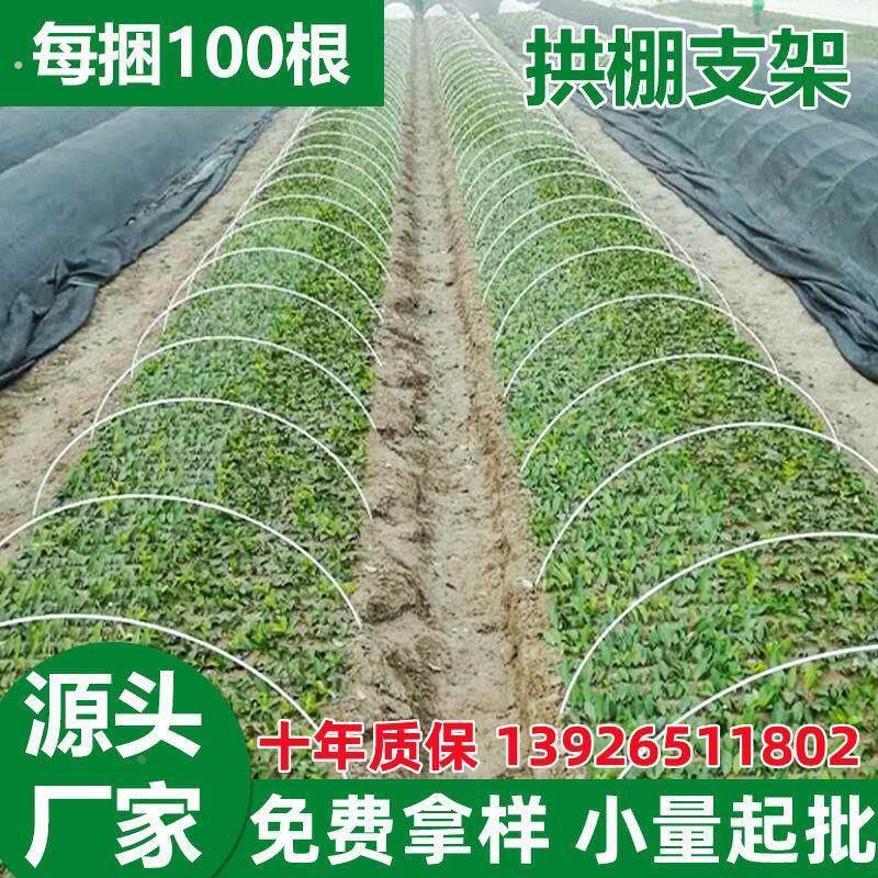 育苗棚骨架农用大棚薄膜拱棚遮阳小拱条弹力棒防冻防虫网塑料支