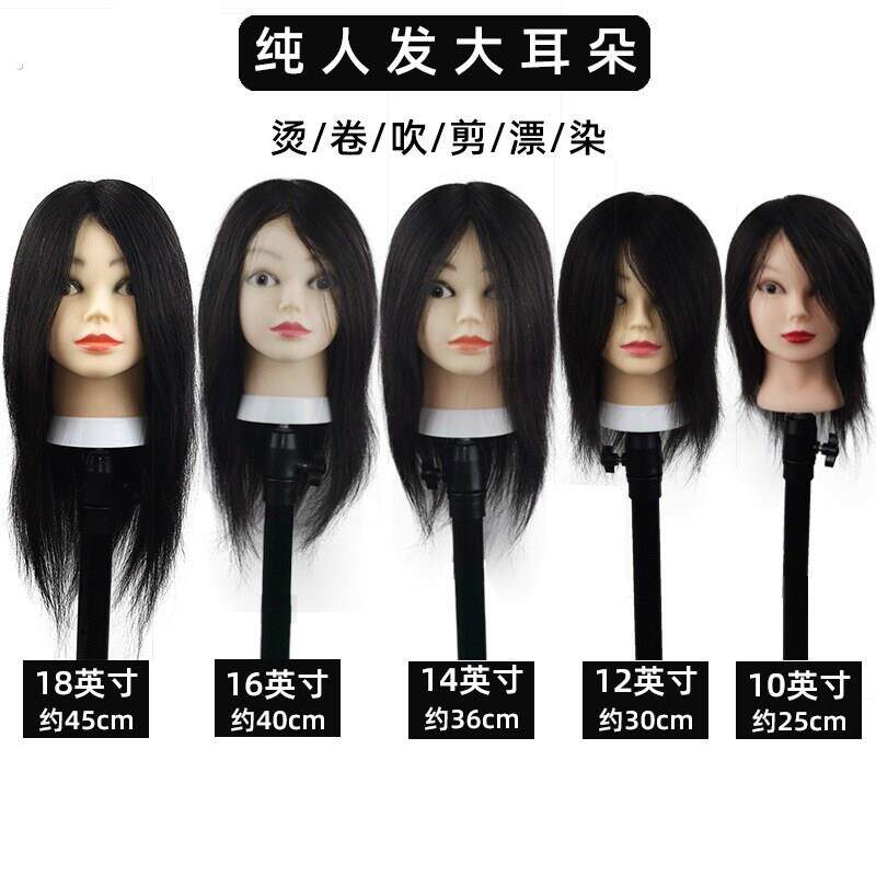 假发头模练习吹卷剪发假头模型假人头美发头模练手卷头假人头模摸