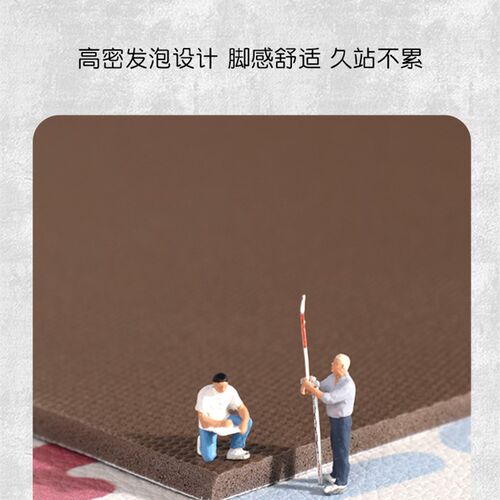 入户门进门地垫免洗可擦懒人脚垫网红可爱pvc垫进户门口室内地毯