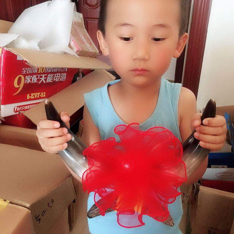 黄牛牛角摆件居家装饰品办公室客厅玄关隔断书房酒吧店铺公司开业