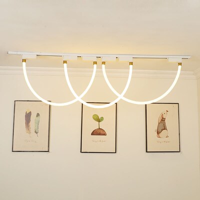 北欧个性全光谱轨道灯散光照明补光商用展厅导轨灯遥控可调三色灯