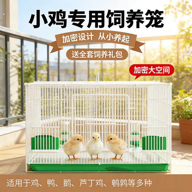 养小鸡专用笼子家用大号加密关小鸭子鹌鹑芦丁鸡的饲养箱自动清粪