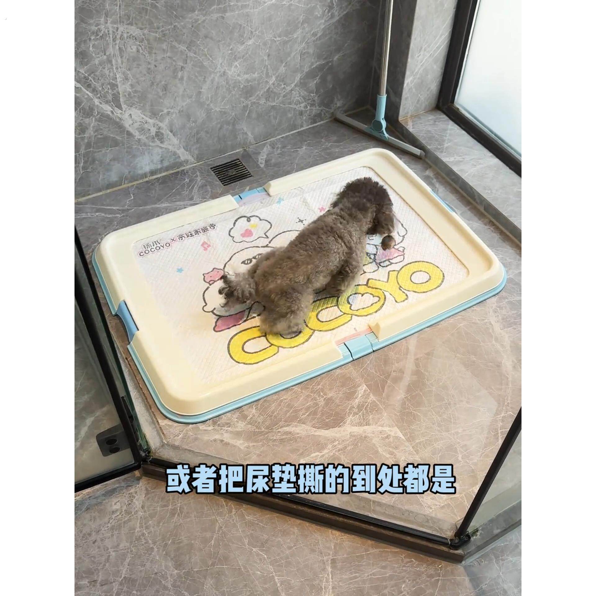 狗狗厕所狗便盆尿垫防位移小便盆中小型犬狗狗上厕所神器宠物用品