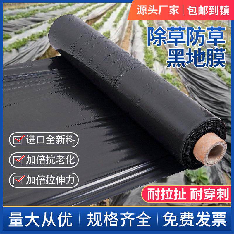 农用地膜加厚抗老化黑地膜塑料薄膜防草种植棚蔬菜果园种植黑地膜