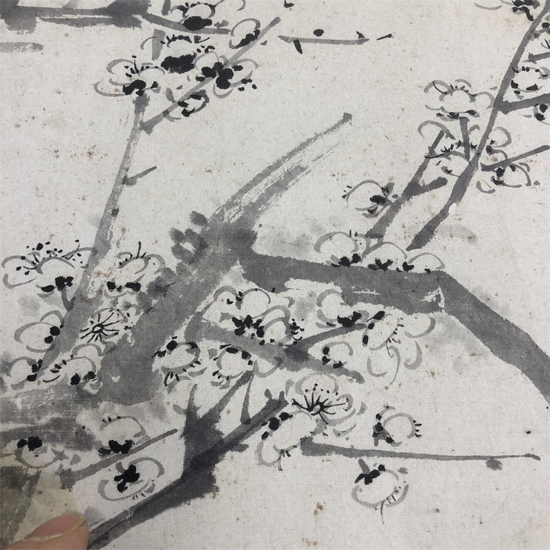 清代 恽寿平花卉图长卷名家水墨写意花鸟图临摹学习画稿素材微喷