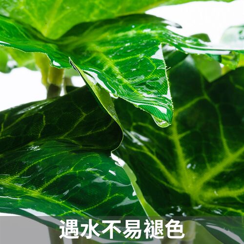 SuperRep爬虫造景雨林缸真植物爬宠陆龟蜥蜴睫角守宫饲养箱装饰