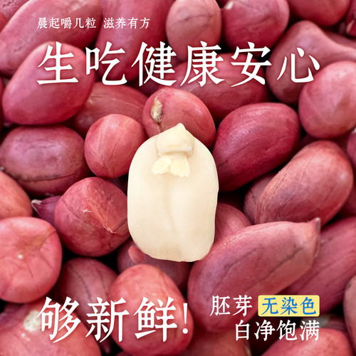 【直播专享】金奶奶新鲜红皮花生仁500g/包