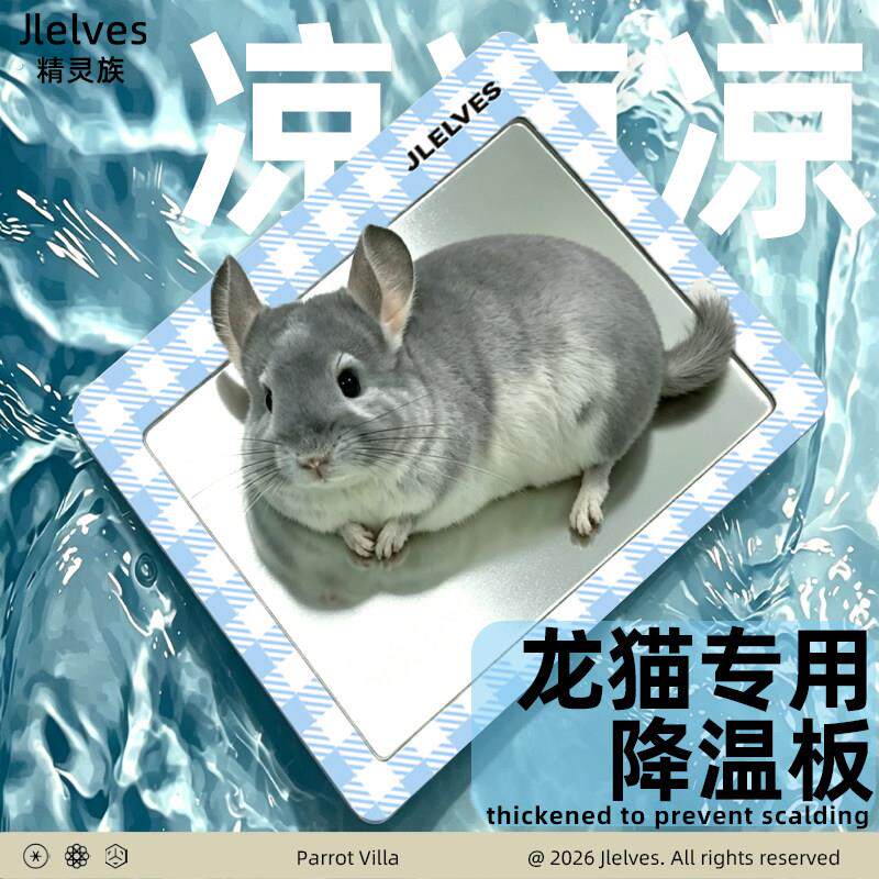 鼠星人龙猫冰垫消暑冰垫兔子降温用品宠物降温板荷兰猪散热冰窝铝
