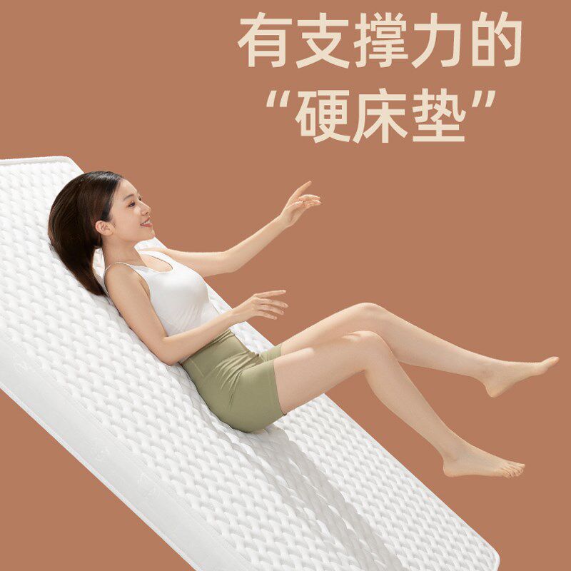 床垫偏硬护脊棕垫家用软床垫加硬神器硬板护腰天然环保纯椰棕折叠