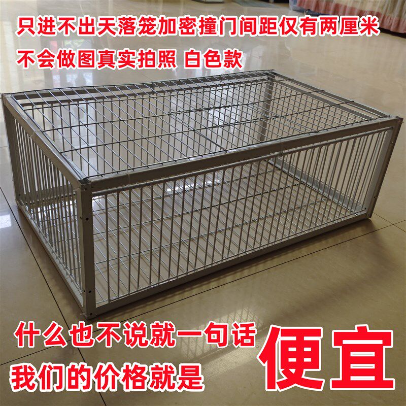 只进不出鸟笼全自动天落笼子撞门宠物鸡/鸭/鸽笼