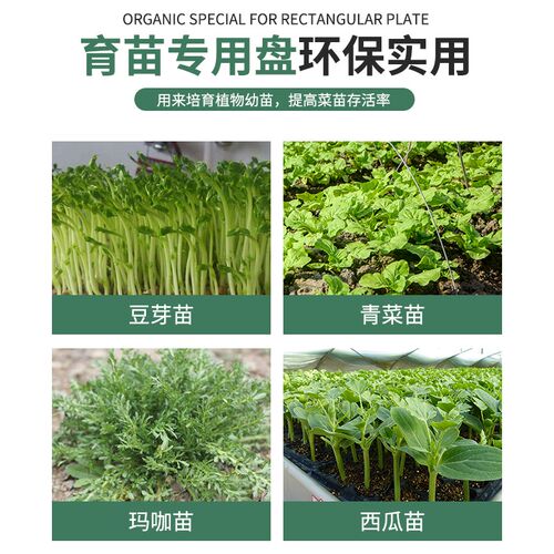 育苗托盘穴盘种植神器营养钵培育盘种植盘扦插盘托盘盆养殖平盘