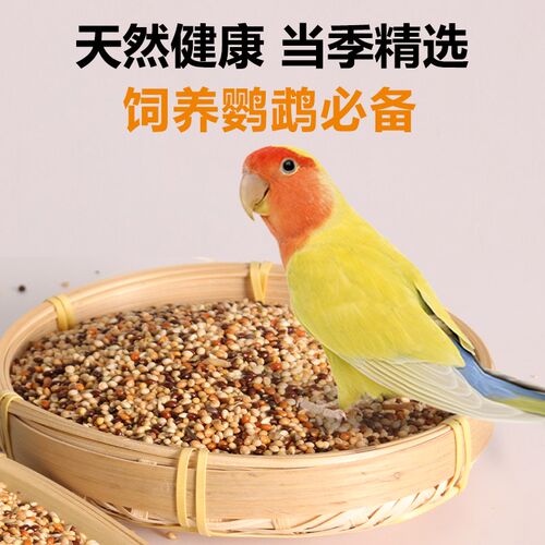 鹦鹉鸟粮饲料五色黍子带壳玄风牡丹虎皮专用粮食食物新鲜鸟食5斤