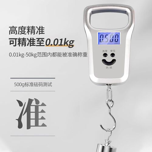 高精度手提弹簧秤手提便携式小型电子秤充电称重器家用食物挂勾称