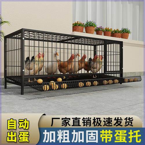 鸡笼子家用加粗大号养殖笼折叠鸭笼鹅笼狗笼自动滚蛋鸡笼厂家直发