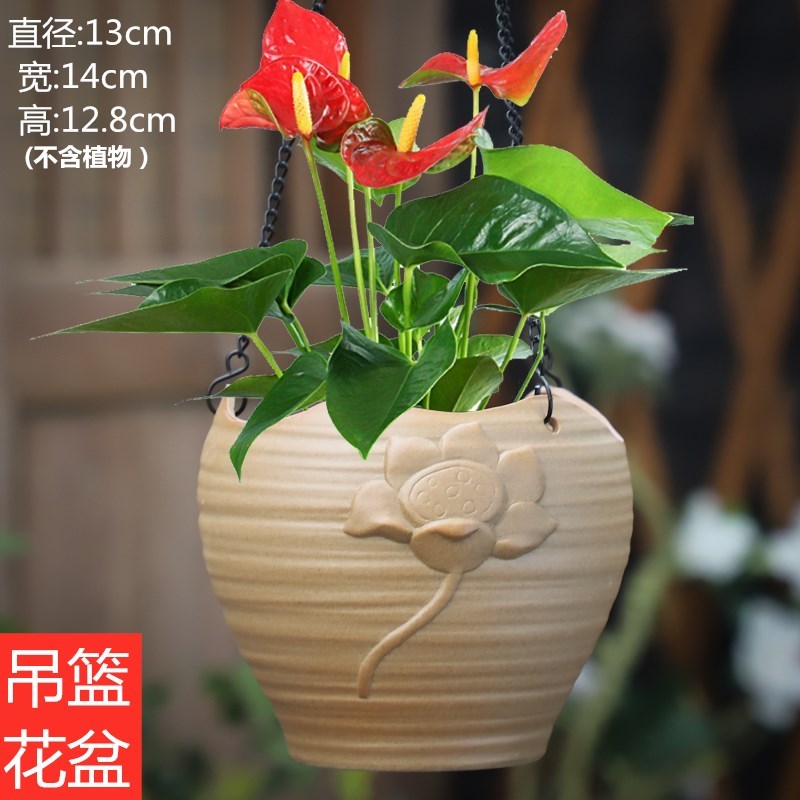 吊篮粗陶透气清新多肉植物陶瓷花盆新款简约盆栽绿植肉肉盆发财树