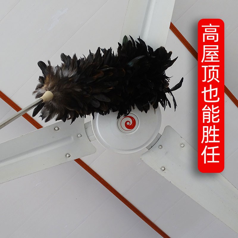 鸡毛掸子可伸缩加长除尘扫灰家用灰尘真毛静电除尘清洁床底商用老