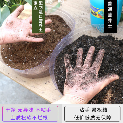 惠立营养土养花泥炭土专用盆栽种植土蔬菜花卉多肉花土通用