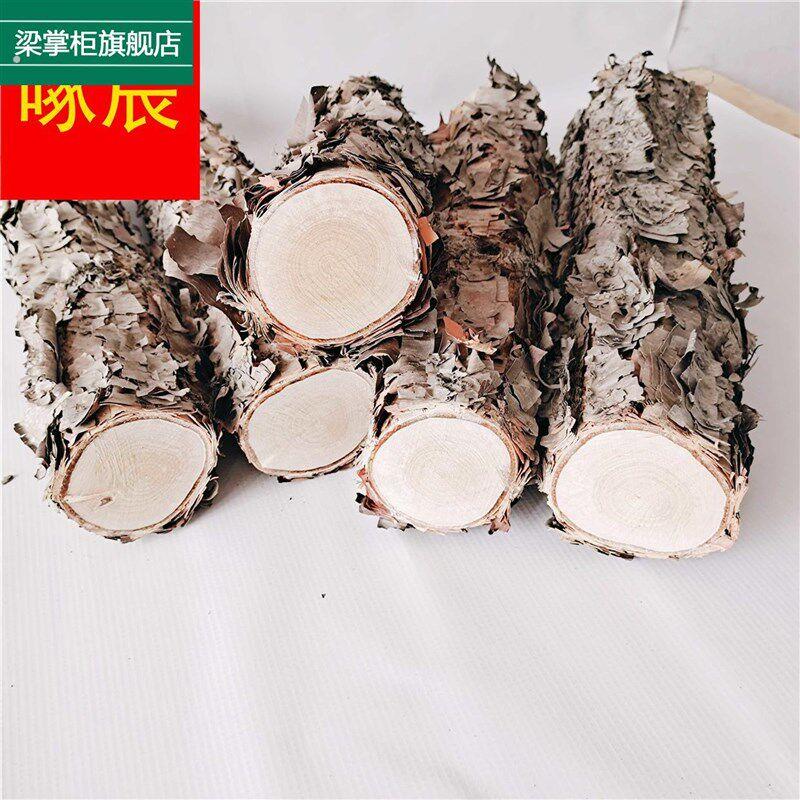 木铁桦树桦木原木铁桦原木装饰树隔断橱窗隔断湿木料